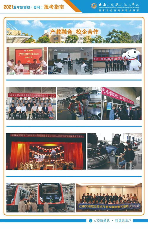 云南交通職業(yè)技術(shù)學(xué)院2021年五年制高職?？茍?bào)考指南技術(shù)服務(wù)制作